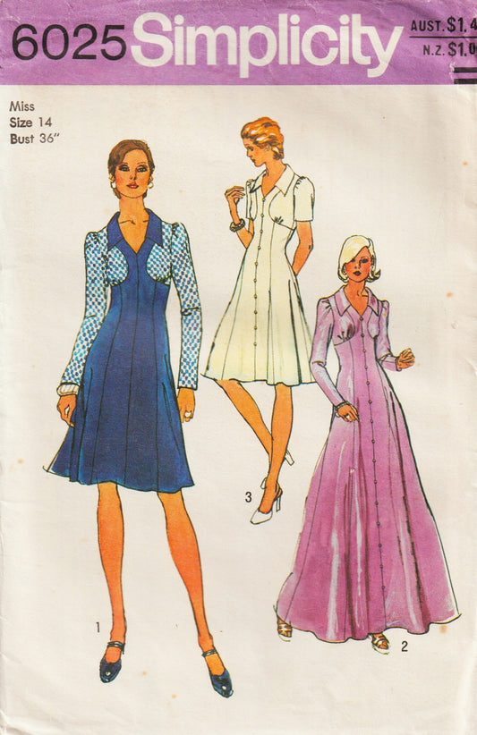 Simplicity 6025